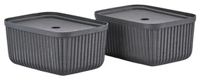 Košíky v súprave 2 ks 32x23x20.5 cm Pulp – Zone