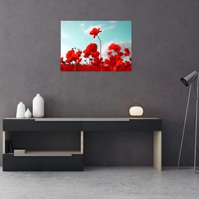 Sklenený obraz poľa s jasne červenými kvetmi (70x50 cm)