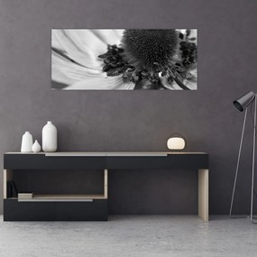 Obraz - Kvetina v čiernobielej (120x50 cm)