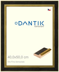 DANTIK rám na obraz 40x50 | Oro Fino černozlatá (Sklo Čiré)