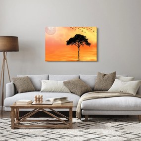 Obraz stromu pri západe slnka (90x60 cm)