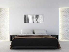 Obraz - Vlk v lese (120x50 cm)
