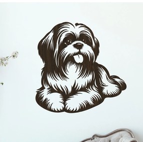 dřevo života Drevený obraz ležiaceho SHIH TZU Rozmery - cm: 40x40, Zvoľte farbu dekoru: Wenge