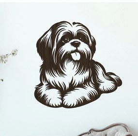 dřevo života Drevený obraz ležiaceho SHIH TZU Rozmery - cm: 60x60, Zvoľte farbu dekoru: Wenge