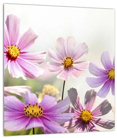 Obraz kvetov (30x30 cm)