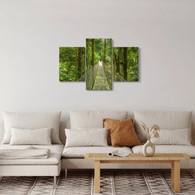 Obraz - Závesný most (90x60 cm)