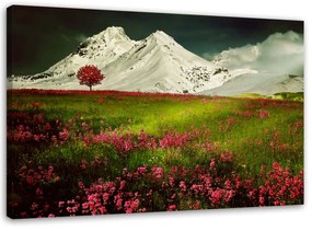 Obraz na plátně Horská krajina Příroda - 90x60 cm