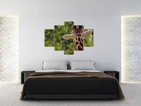 Obraz žirafy zozadu (150x105 cm)