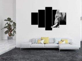 Obraz - Slon (150x105 cm)