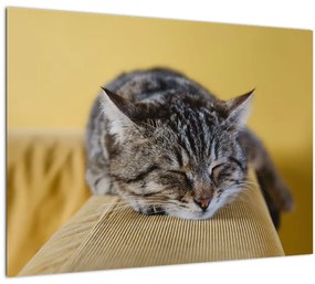 Sklenený obraz mačky na pohovke (70x50 cm)