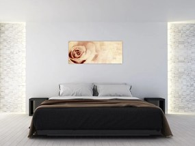 Obraz - Kvet ruže pre zaľúbených (120x50 cm)