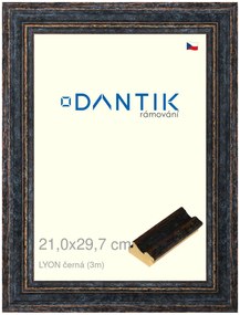 DANTIK rám na obraz 21x29,7 | LYON černá (Sklo Čiré)