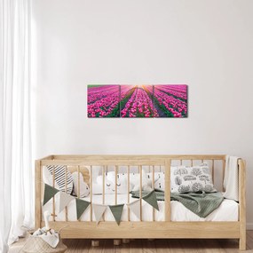 Obraz poľa tulipánov so slnkom (s hodinami) (90x30 cm)