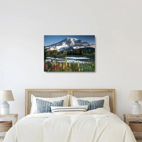 Sklenený obraz - Mount Rainier (70x50 cm)