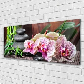 Obraz plexi Bambus kamene zen kvety 125x50 cm