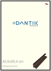 DANTIK rám na obraz 42x59,4 | ALU Hnědá matná (Plexi Čiré)