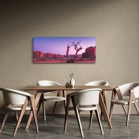 Obraz stromu u červených skál (120x50 cm)