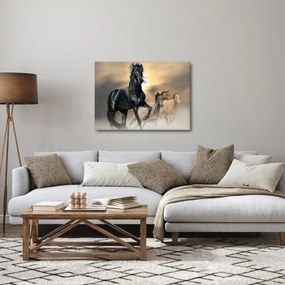 Obraz - Kone (70x50 cm)