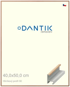 DANTIK rám na obraz 40x50 | ALU Dýha dub lak matný (Sklo Čiré)