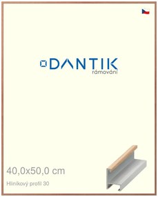 DANTIK rám na obraz 40x50 | ALU Dýha dub lak matný (Sklo Čiré)