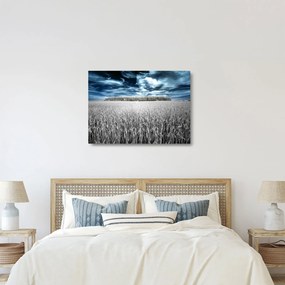 Sklenený obraz pole (70x50 cm)