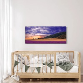 Obraz levanduľovej lúky (120x50 cm)