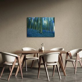 Obraz - Modrý les (70x50 cm)