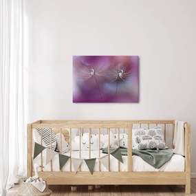 Obraz kvapôčok na páperí (70x50 cm)