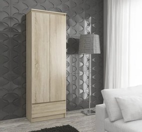 Uzavretý regál R60 2D 1SZ CLP dub sonoma