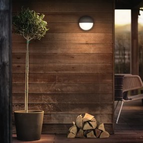 Philips 16455/93/16 - LED vonkajšie nástenné svietidlo CAPRICORN LED/6W IP44