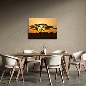 Obraz - Africká savana (70x50 cm)