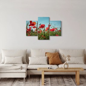 Obraz - Na poli vlčích makov (90x60 cm)