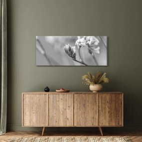 Obraz - Rozkvitnutý kvet (120x50 cm)