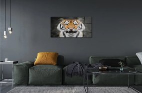 Sklenený obraz tiger 125x50 cm