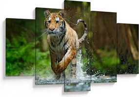 Obraz bežiaceho tigra (150x105 cm)