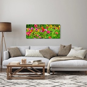 Obraz lúčnych kvetov (120x50 cm)