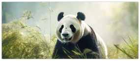 Obraz - Panda (120x50 cm)