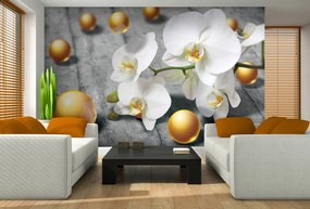 Fototapeta - Orchidea (254x184 cm)