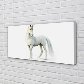 Obraz na plátne biely jednorožec 125x50 cm