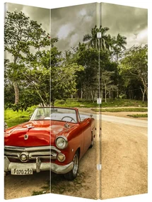 Paraván - Auto veterán v prírode (126x170 cm)