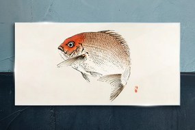 Sklenený obraz Moderné zvieratá rýb