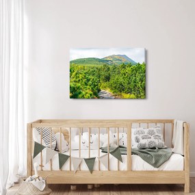 Obraz - Babi Hora, Poľsko (90x60 cm)