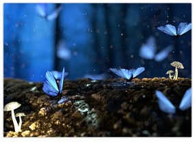 Sklenený obraz modrých motýľov (70x50 cm)