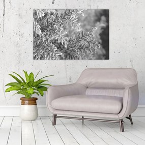 Obraz - Smrekový les (90x60 cm)