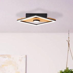 Stropné LED svetlo Woodbridge, 1-plameňové