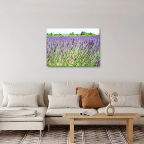 Obraz poľa s levanduľou (70x50 cm)