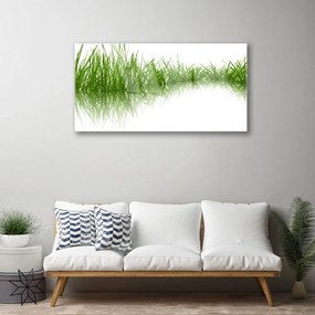 Skleneny obraz Tráva príroda rastlina 120x60 cm