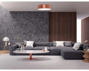 Kúpeľňové stropné svietidlo CLEO 2xE27/24W/230V pr. 30 cm medená IP54