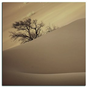 Obraz na plátne - Červené piesočné duny - štvorec 3133FA (80x80 cm)