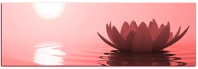 Obraz na plátne - Zen lotus - panoráma 5167CA (105x35 cm)
